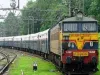 गोंदिया और दिल्ली-छपरा एक्सप्रेस का बदला रूट, इन ट्रेनों का शार्ट टर्मिनेशन