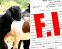 बलिया में बकरा चोरी का मुकदमा दर्ज, आठ नामजद