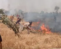 बलिया में आग की लपटों का तांडव, खड़ी गेहूं की फसल राख ; वर्दी में दिखी मानवीयता