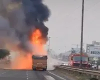 हाइवे पर भीषण सड़क हादसा : कई वाहन टकराए, सात लोग जिन्दा जले