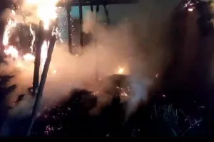 बलिया में आग का तांडव : लपटों में झुलसकर डेढ़ दर्जन मवेशियों की मौत