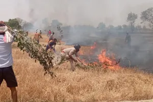 बलिया में आग की लपटों का तांडव, खड़ी गेहूं की फसल राख ; वर्दी में दिखी मानवीयता