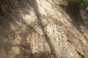 बलिया : स्कूल के बाहर अचानक टूटकर गिरा हाईटेंशन तार, फिर...